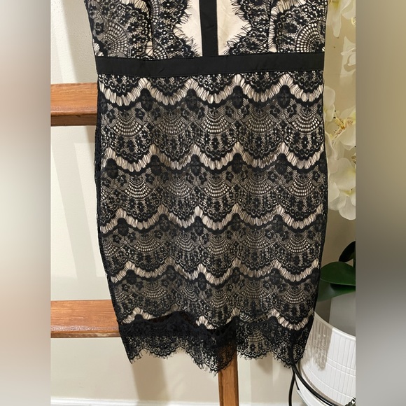UNIT Bodycon Lace Dress - Picture 4 of 9